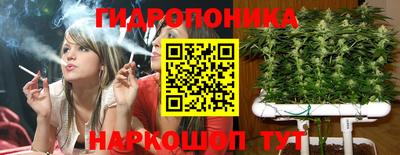СК Донецк