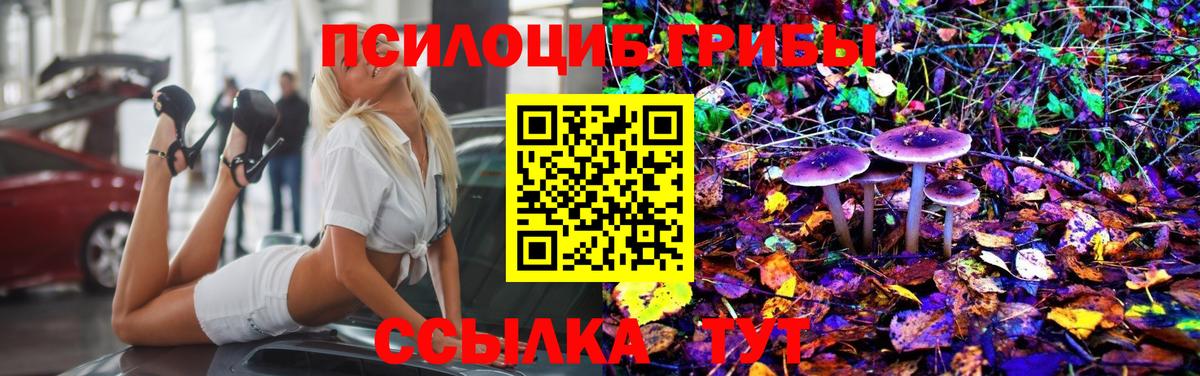 Шуя  дарнет шоп  Вход с VPN  Псилоцибиновые грибы MAGIC MUSHROOMS 